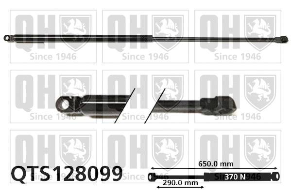 Gas Spring, boot/cargo area (QTS128099)