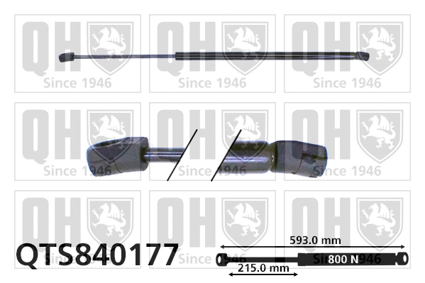 Gas Spring, boot/cargo area (QTS840177)