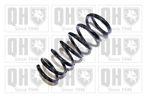 Suspension Spring (QCS5948)
