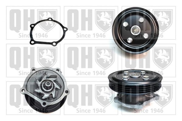 Water Pump, engine cooling (QCP3449)