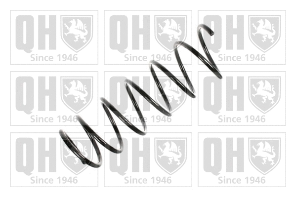 Suspension Spring (QCS5969)