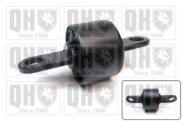 Mounting, control/trailing arm (EMS8741)
