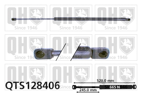 Gas Spring, boot/cargo area (QTS128406)
