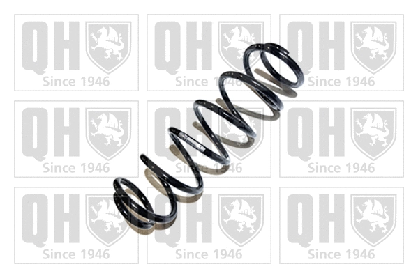 Suspension Spring (QCS6416)