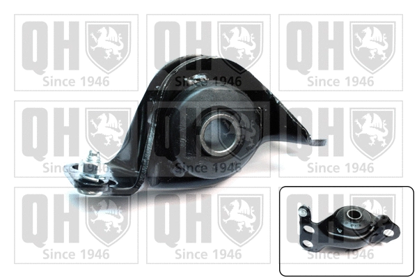 Mounting, control/trailing arm (EMS8275)