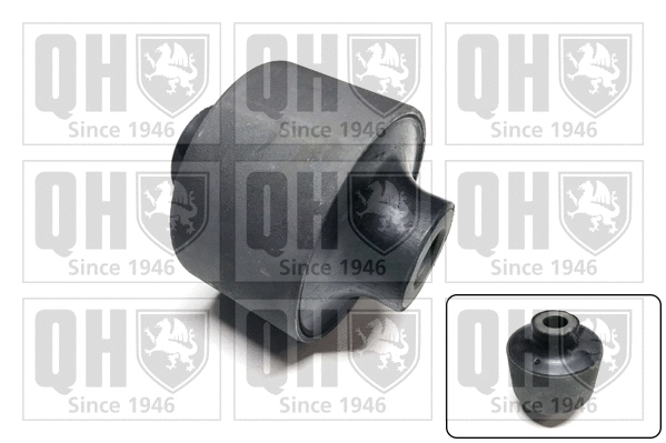 Mounting, control/trailing arm (EMS8694)