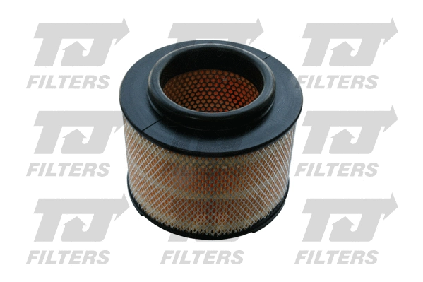 Air Filter (QFA0654)