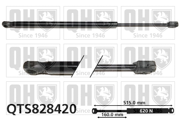 Gas Spring, boot/cargo area (QTS828420)