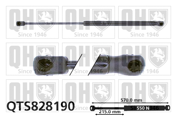 Gas Spring, boot/cargo area (QTS828190)