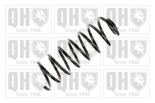 Suspension Spring (QCS6842)