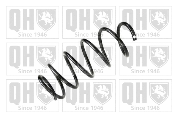 Suspension Spring (QCS6355)
