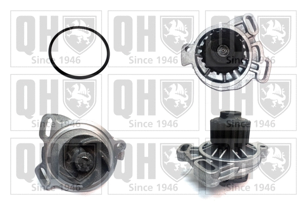 Water Pump, engine cooling (QCP2901)