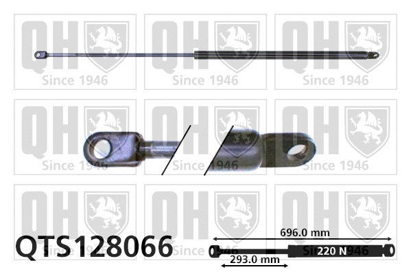 Gas Spring, boot/cargo area (QTS128066)