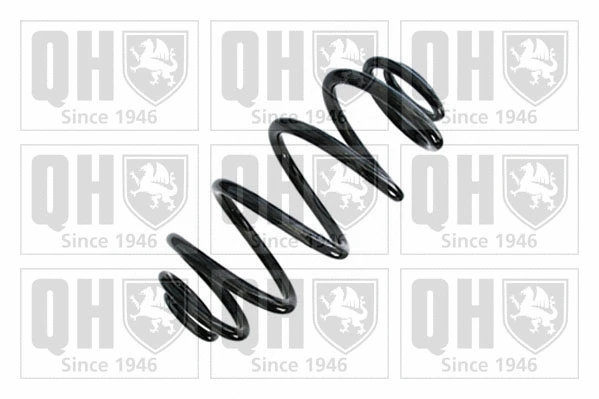 Suspension Spring (QCS9068)