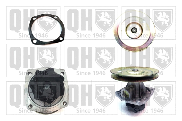 Water Pump, engine cooling (QCP2696)