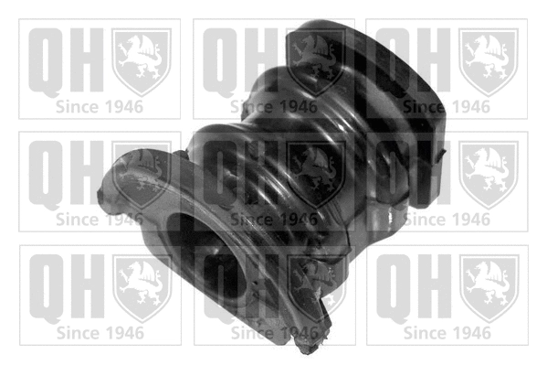 Mounting, control/trailing arm (EMS3090)