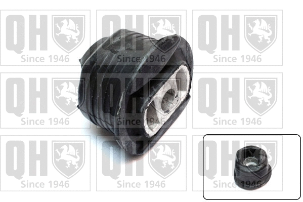 Mounting, control/trailing arm (EMS2497)