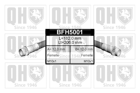Brake Hose (BFH5001)