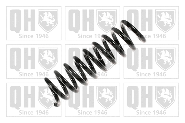Suspension Spring (QCS5094)