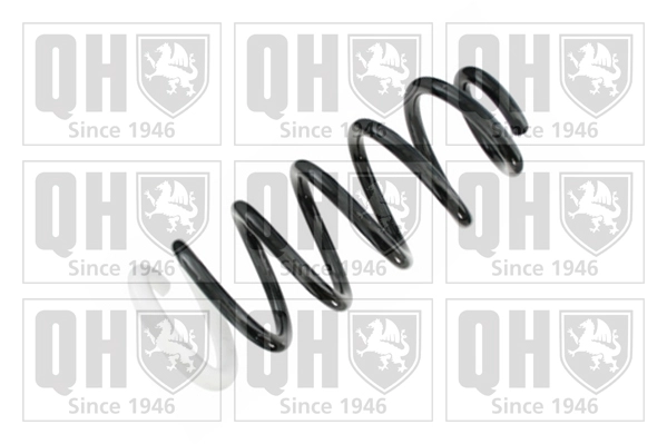 Suspension Spring (QCS8421)