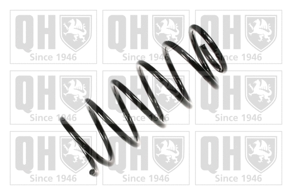 Suspension Spring (QCS5751)