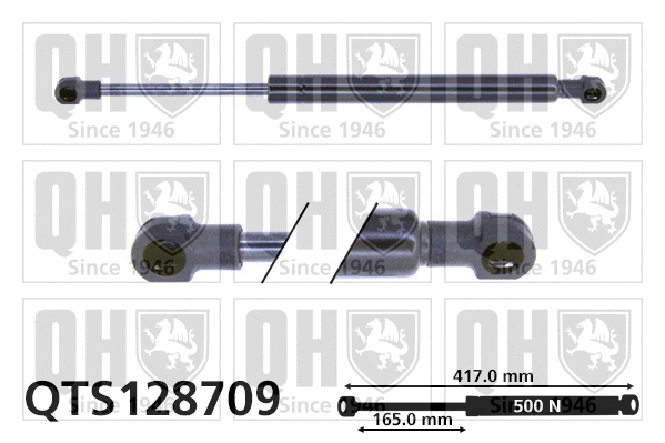 Gas Spring, boot/cargo area (QTS128709)