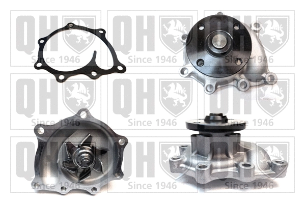Water Pump, engine cooling (QCP3503)