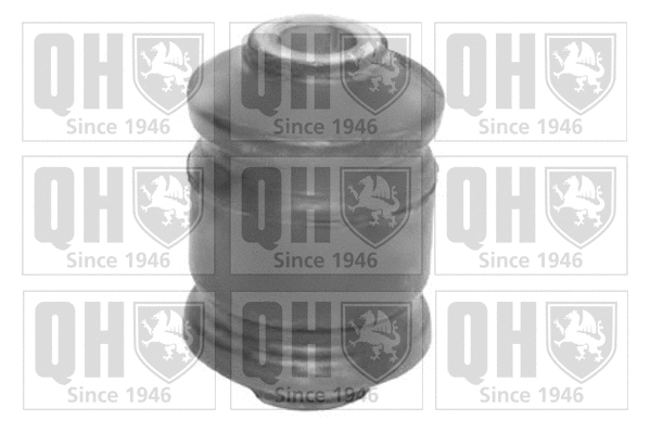 Mounting, control/trailing arm (EMS8279)