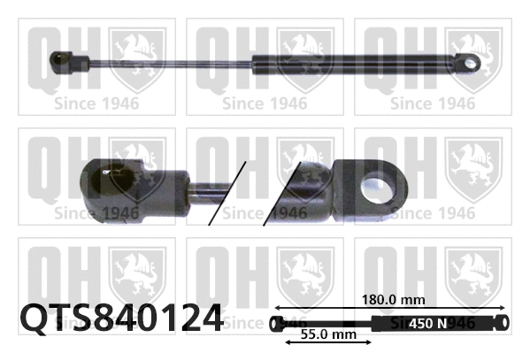 Gas Spring, boot/cargo area (QTS840124)