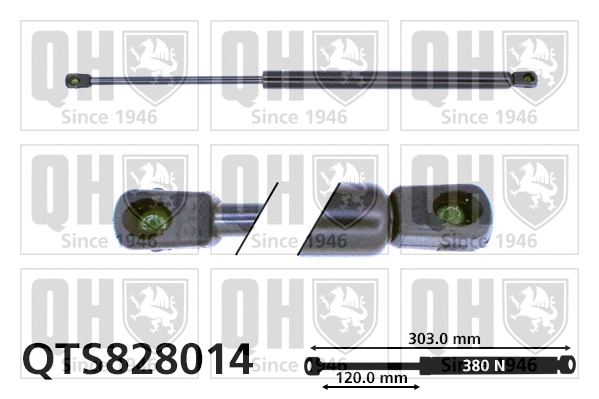 Gas Spring, bonnet (QTS828014)