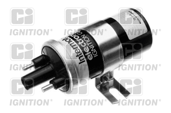 Ignition Coil (XIC8096)