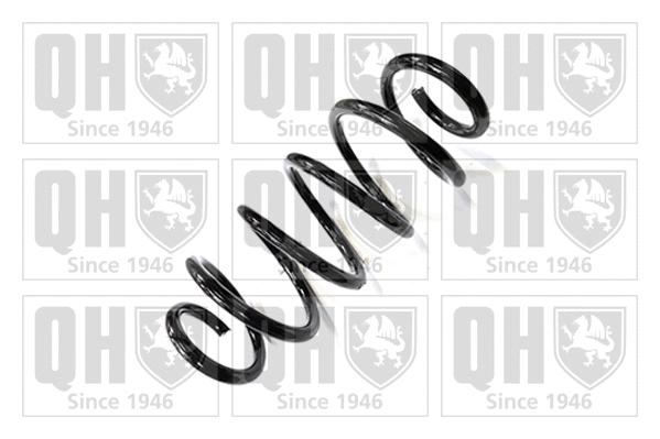 Suspension Spring (QCS6126)