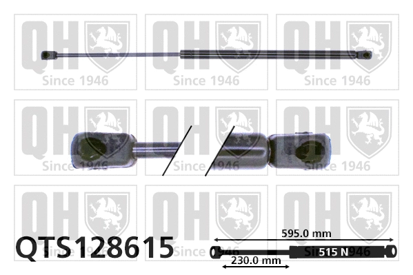 Gas Spring, boot/cargo area (QTS128615)