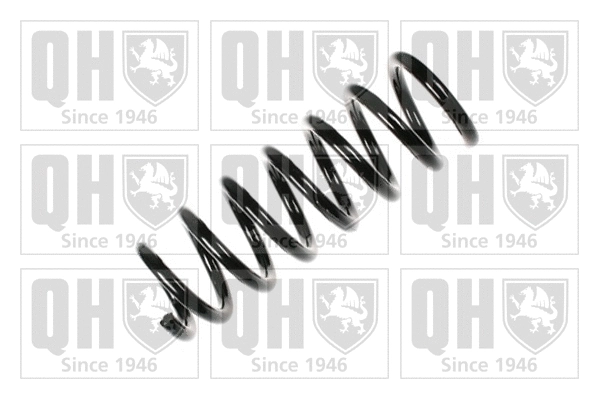 Suspension Spring (QCS5956)