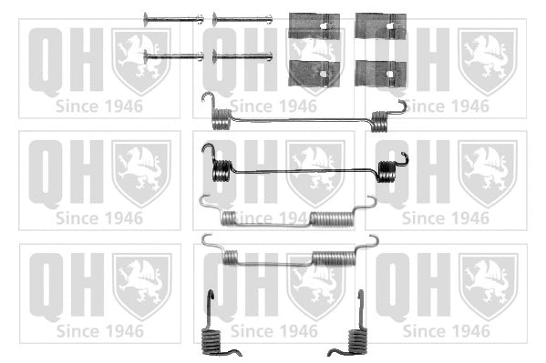 Accessory Kit, brake shoes (BFK319)