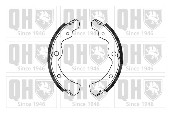 Brake Shoe Set (BS751)