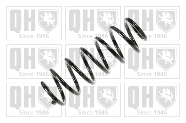 Suspension Spring (QCS7674)