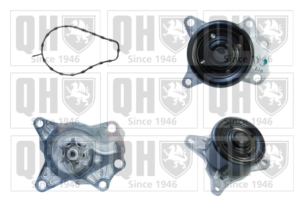 Water Pump, engine cooling (QCP3702)