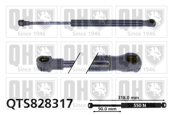 Gas Spring, rear window (QTS828317)