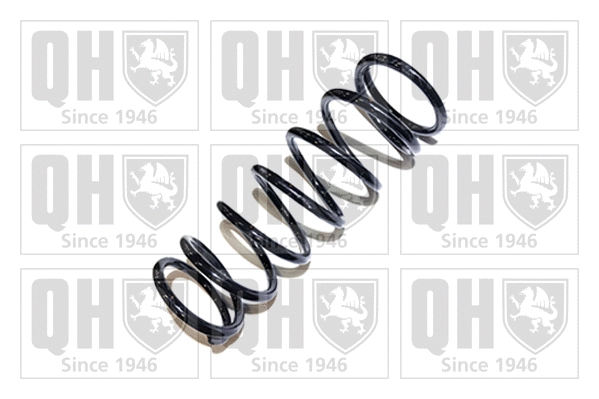 Suspension Spring (QCS5166)