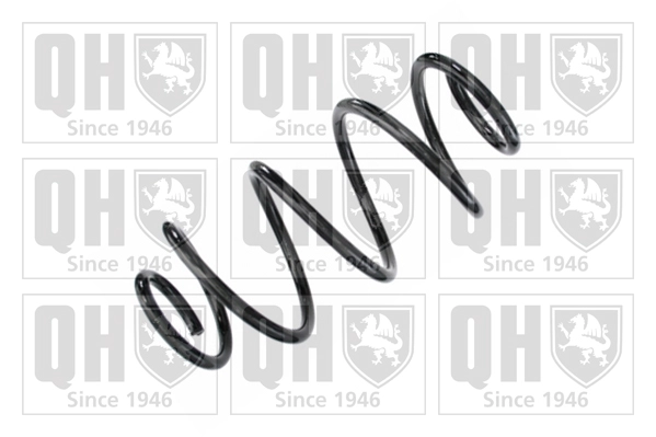 Suspension Spring (QCS8645)