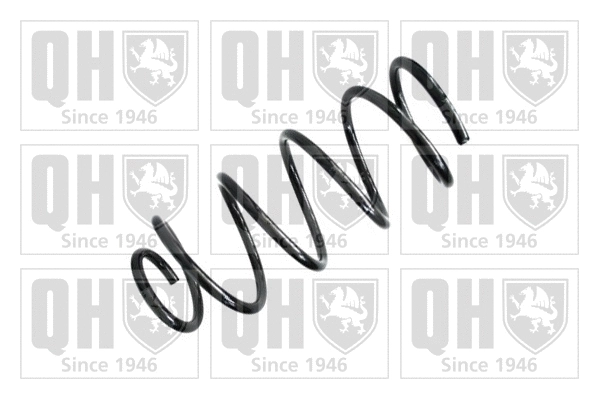 Suspension Spring (QCS6114)
