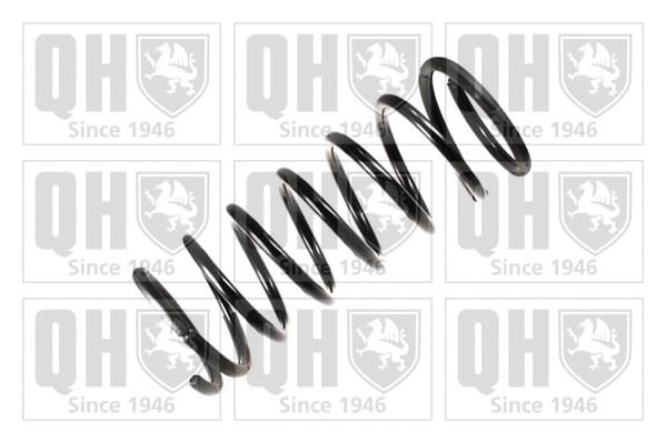Suspension Spring (QCS8033)