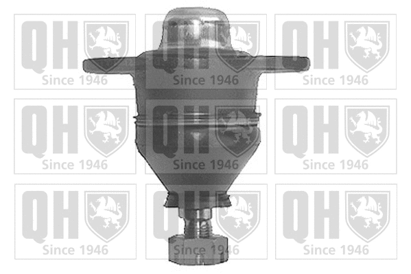 Ball Joint (QSJ250S)