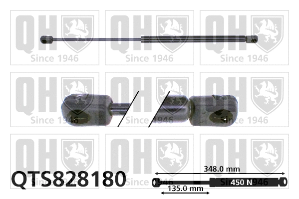 Gas Spring, bonnet (QTS828180)