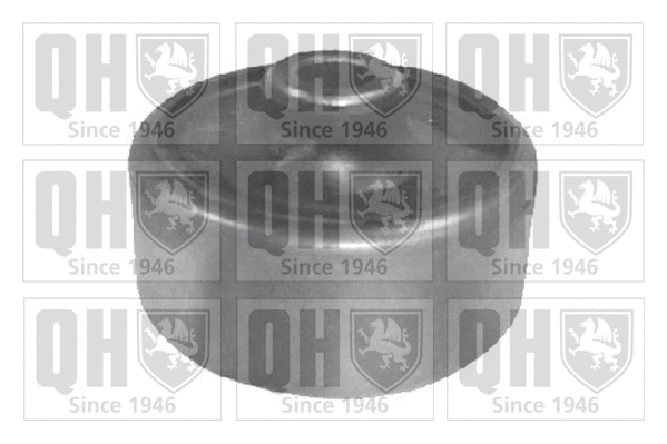 Mounting, control/trailing arm (EMS8458)