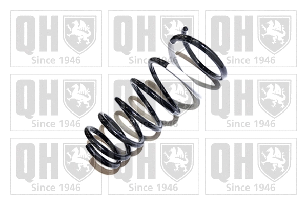 Suspension Spring (QCS5879)