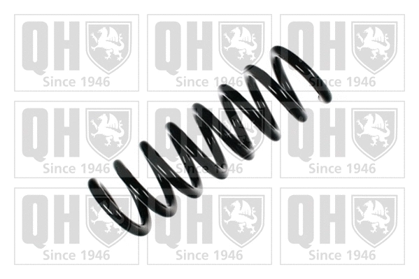 Suspension Spring (QCS6556)