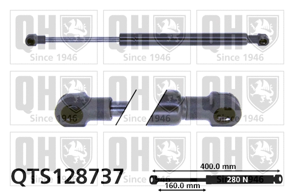 Gas Spring, bonnet (QTS128737)