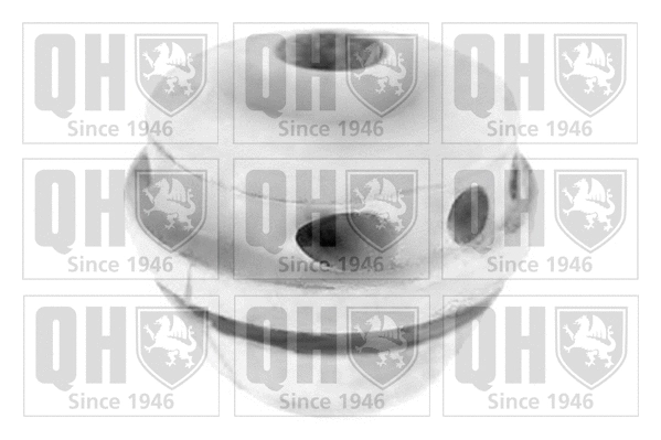 Mounting, engine (EM4097)